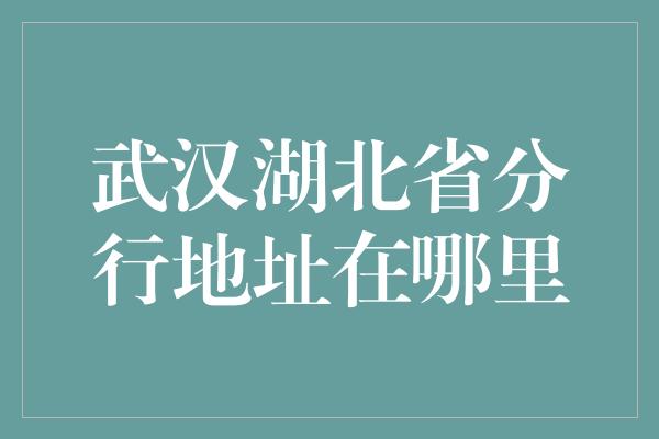 武汉湖北省分行地址在哪里