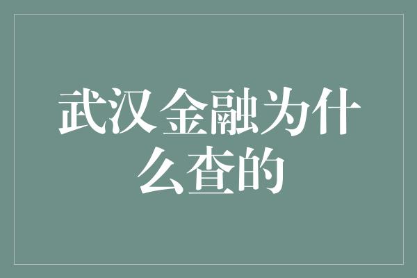 武汉金融为什么查的