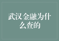 武汉金融为啥查？难道是钱太多烧的吗？