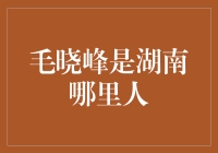 毛晓峰：从湖南道县走出来的歌者