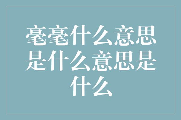 毫毫什么意思是什么意思是什么