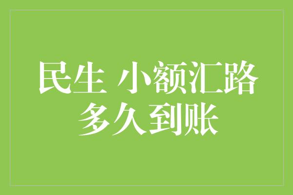 民生 小额汇路多久到账