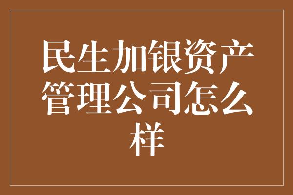 民生加银资产管理公司怎么样