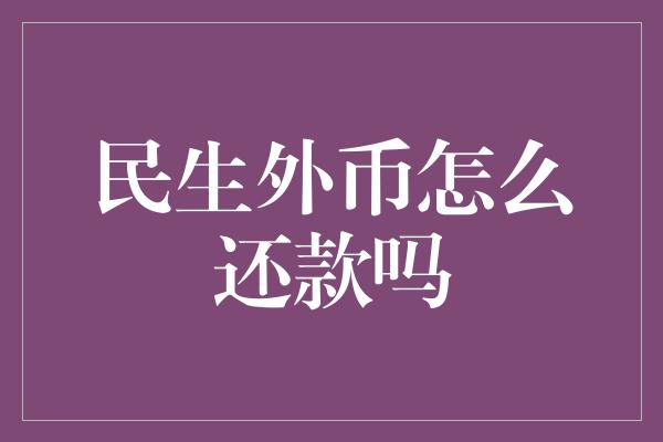 民生外币怎么还款吗