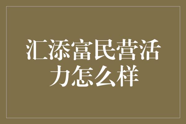 汇添富民营活力怎么样