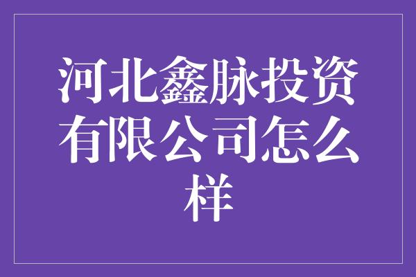 河北鑫脉投资有限公司怎么样