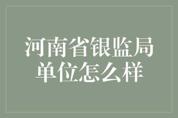 河南省银监局单位怎么样