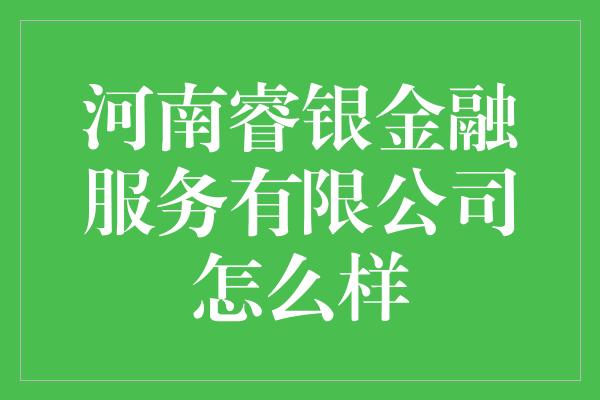 河南睿银金融服务有限公司怎么样