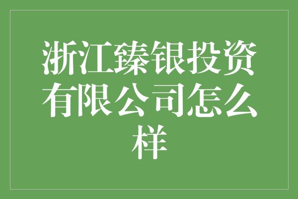 浙江臻银投资有限公司怎么样