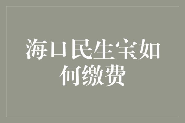 海口民生宝如何缴费