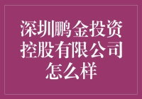 深圳鹏金投资控股有限公司：引领金融创新，赋能企业成长