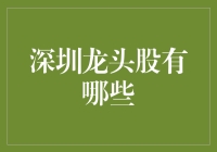 深圳龙头股的投资分析：多元化布局与战略性选择