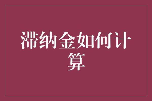 滞纳金如何计算