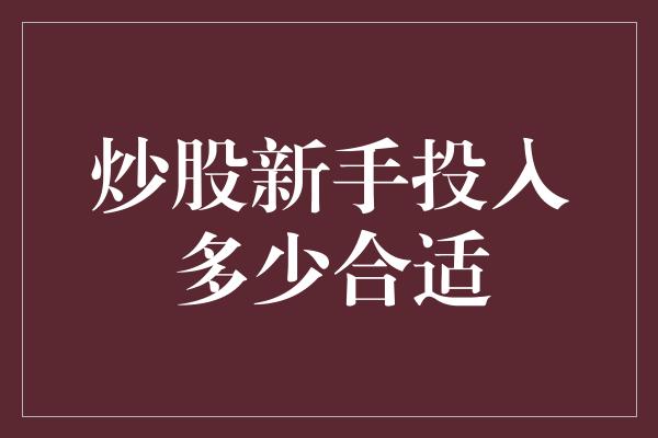 炒股新手投入多少合适