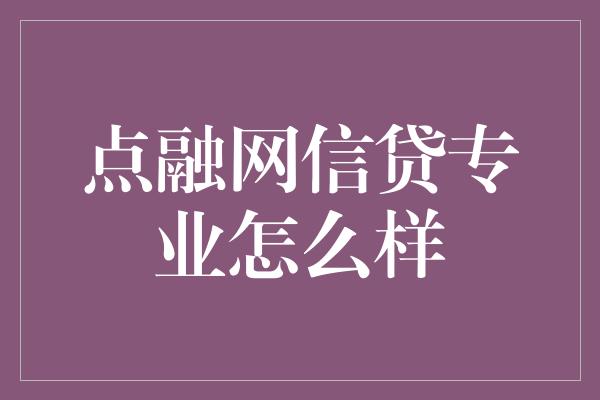 点融网信贷专业怎么样