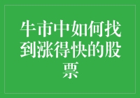 牛市中寻找快速上涨股票的策略分析