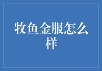 牧鱼金服：互联网金融创新的先锋，引领未来趋势