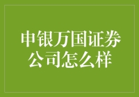 申银万国证券公司：卓越金融服务的引领者