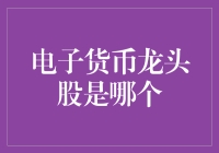 电子货币龙头股龙头分析：技术、政策与市场的融合