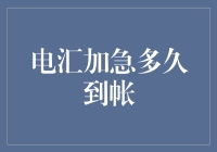 加急电汇到账真的那么快吗？会不会被电闪雷鸣吓得在路上迷路？