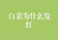 白菜为什么发红——神秘色彩变化背后的科学解读