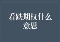 看跌期权是什么意思？——解读金融体系里的悲观主义者