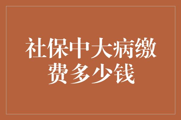 社保中大病缴费多少钱