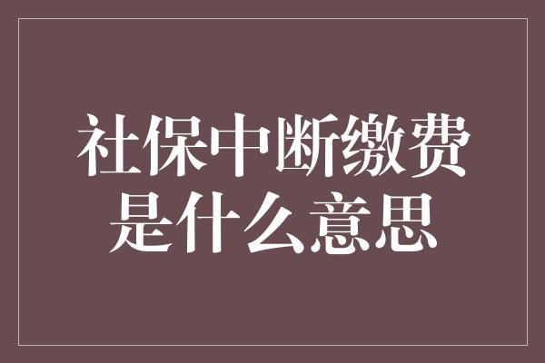 社保中断缴费是什么意思