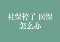 社保停缴：医保的替代方案与应急措施