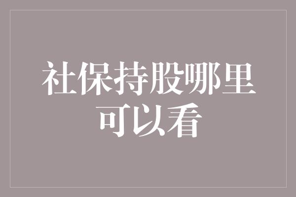 社保持股哪里可以看