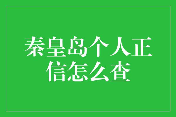 秦皇岛个人正信怎么查