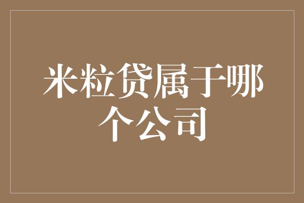 米粒贷属于哪个公司