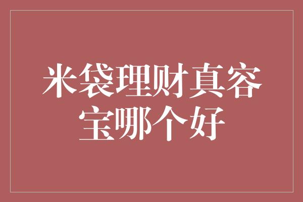 米袋理财真容宝哪个好