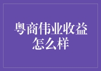 粤商伟业：收益之谜，揭秘还是雷区？