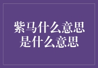 从紫马到紫薯：你不知道的紫马含义大揭秘