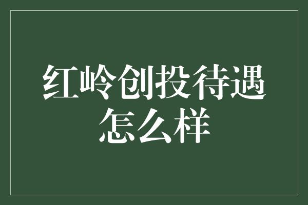 红岭创投待遇怎么样