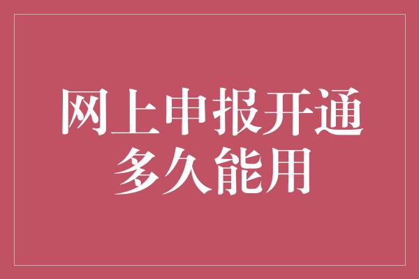 网上申报开通多久能用