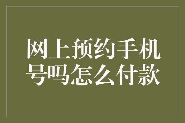 网上预约手机号吗怎么付款