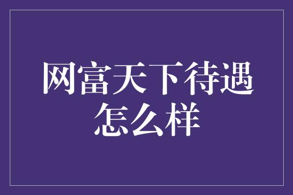 网富天下待遇怎么样