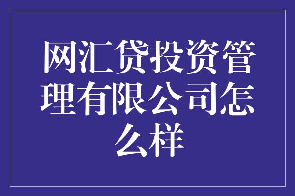 网汇贷投资管理有限公司怎么样