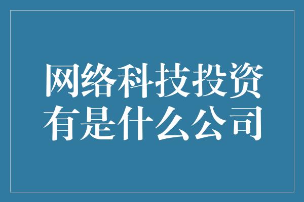 网络科技投资有是什么公司