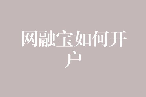 网融宝如何开户