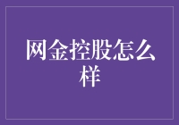 网金控股：金融科技行业的领航者