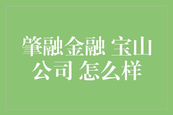 肇融金融 宝山公司 怎么样