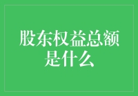 股东权益总额：股票界的资产负债表刺客