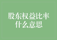 股东权益比率：你的兜里藏着多少钱的秘密武器？