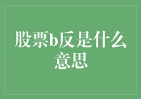 股票B反：投资市场中的策略与现实考量