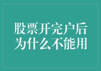 股票开完户后为什么不能用？开户完成后的账户激活与使用指南