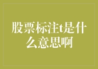 股票标注t是什么意思啊？我给你的标准答案是：去问你的大神吧！