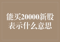 20000新股背后：深度解析股票购买行为的含义